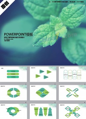 清新薄荷叶ppt模板下载
